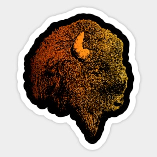 Bison portrait 4 Sticker